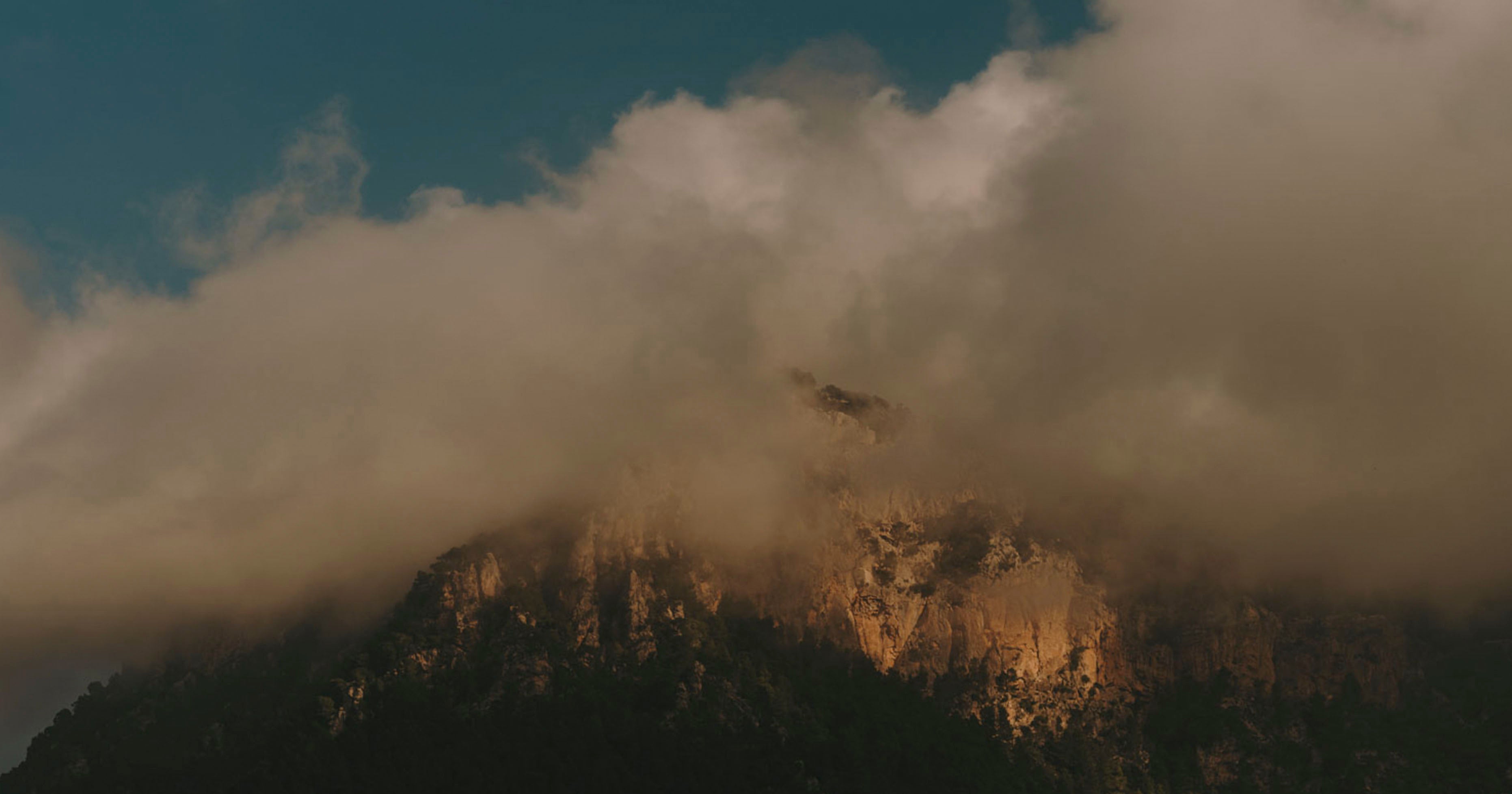 CELEBRANDO EL DÍA MUNDIAL DE LA EDUCACIÓN AMBIENTAL: COMPROMISOS Y ACCIONES