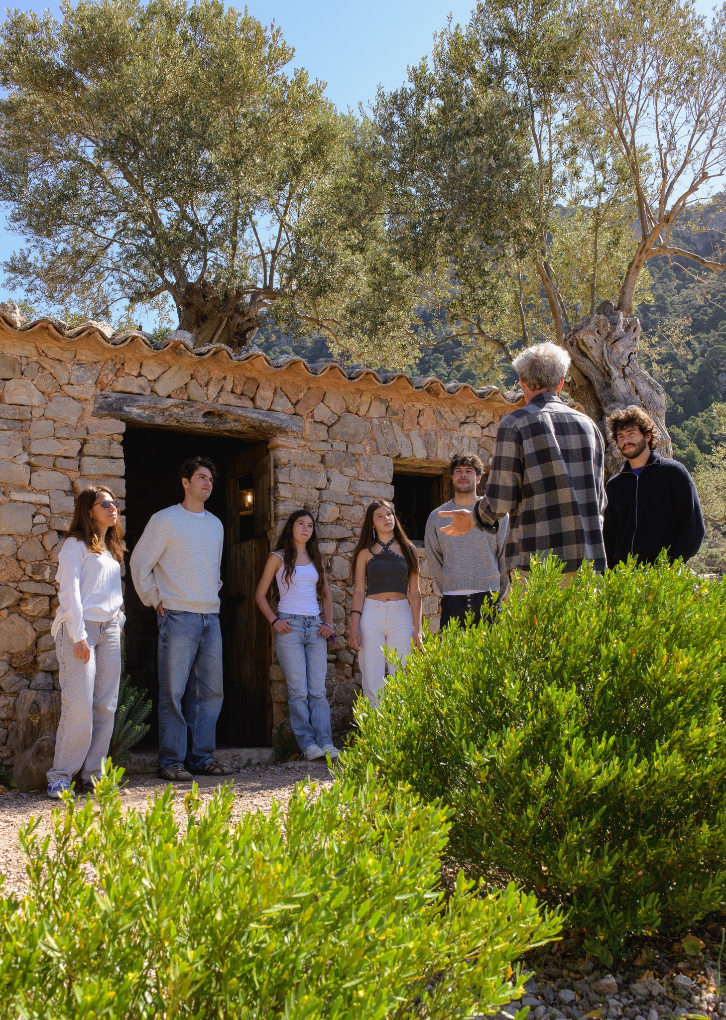 TALLER DE ACEITE DE OLIVA