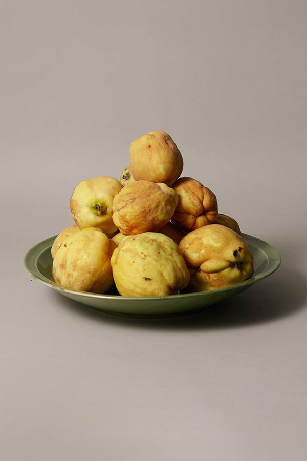 FRUTERO
