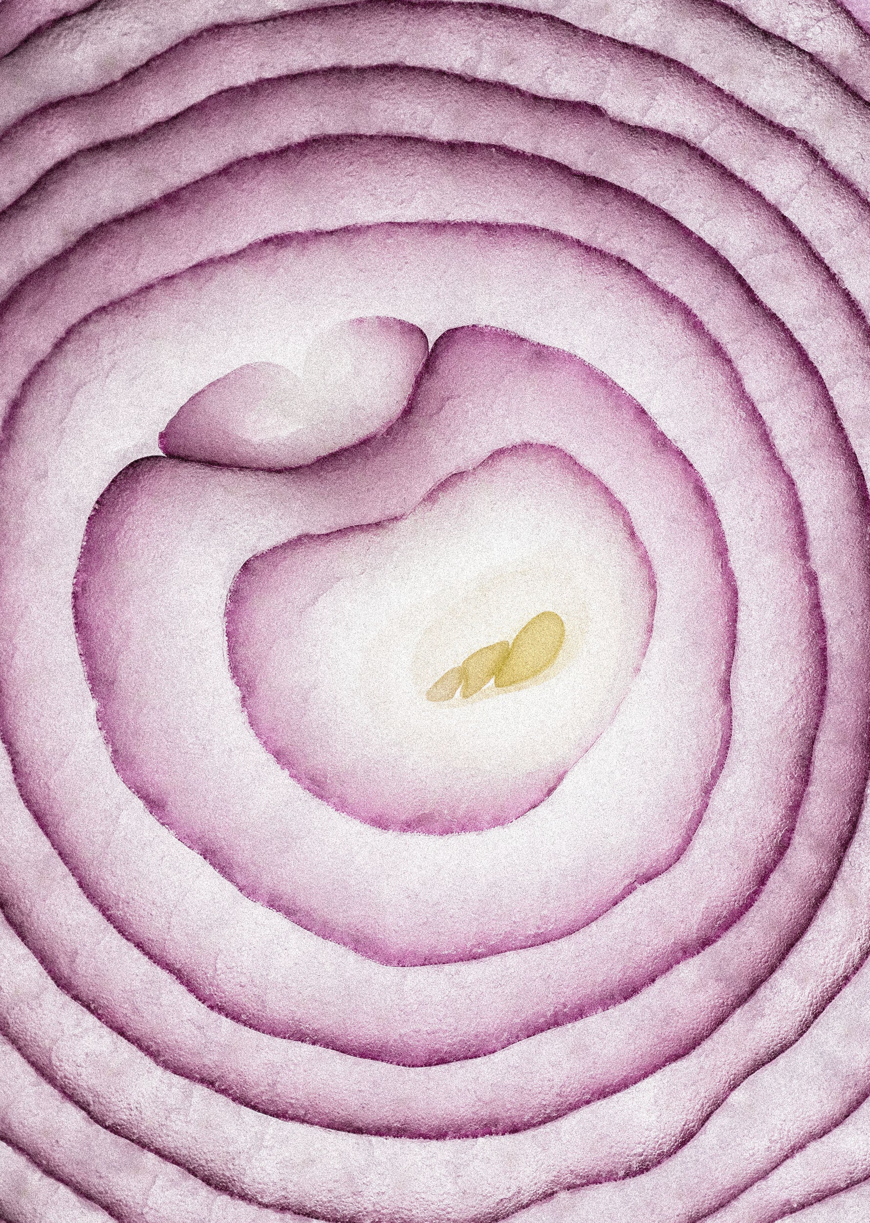 ORGANIC PURPLE ONION JAM