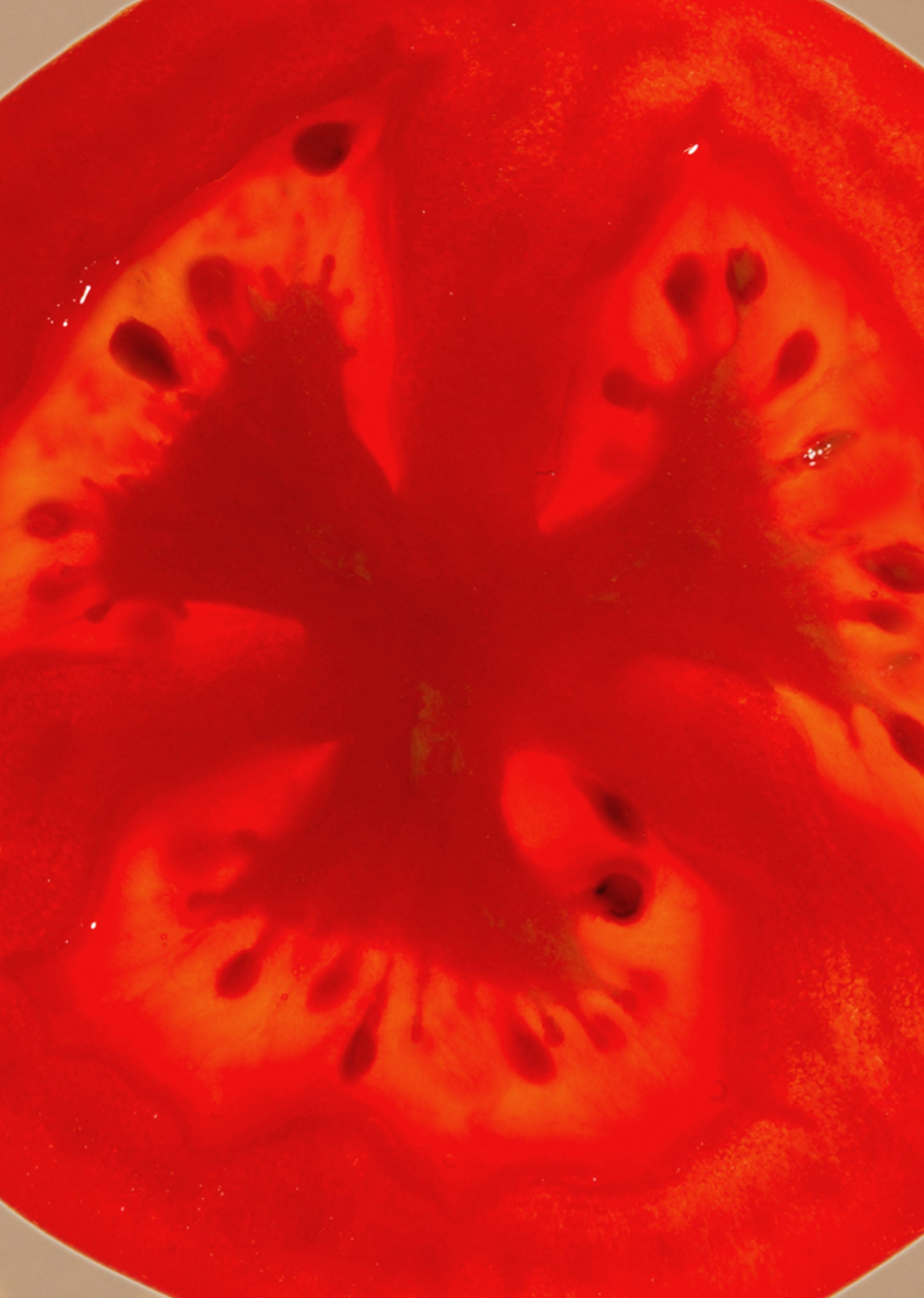 ORGANIC TOMATO AND BASIL JAM