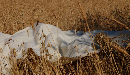 RECUPERANDO EL ARTE TEXTIL EN LA SERRA DE TRAMUNTANA