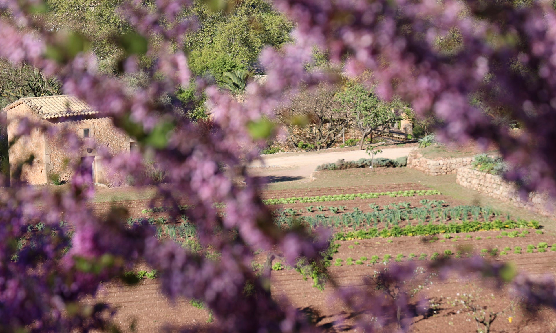 ¿AGRICULTURA ORGÁNICA O ECOLÓGICA?