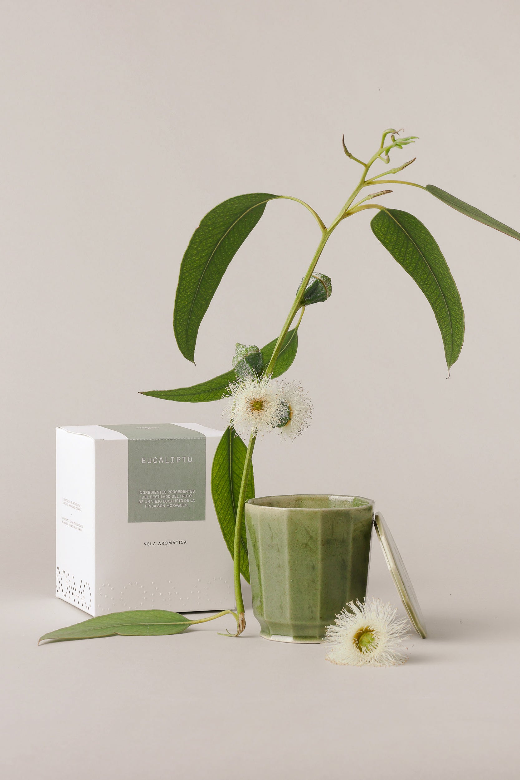 SCENTED CANDLE - EUCALYPTUS