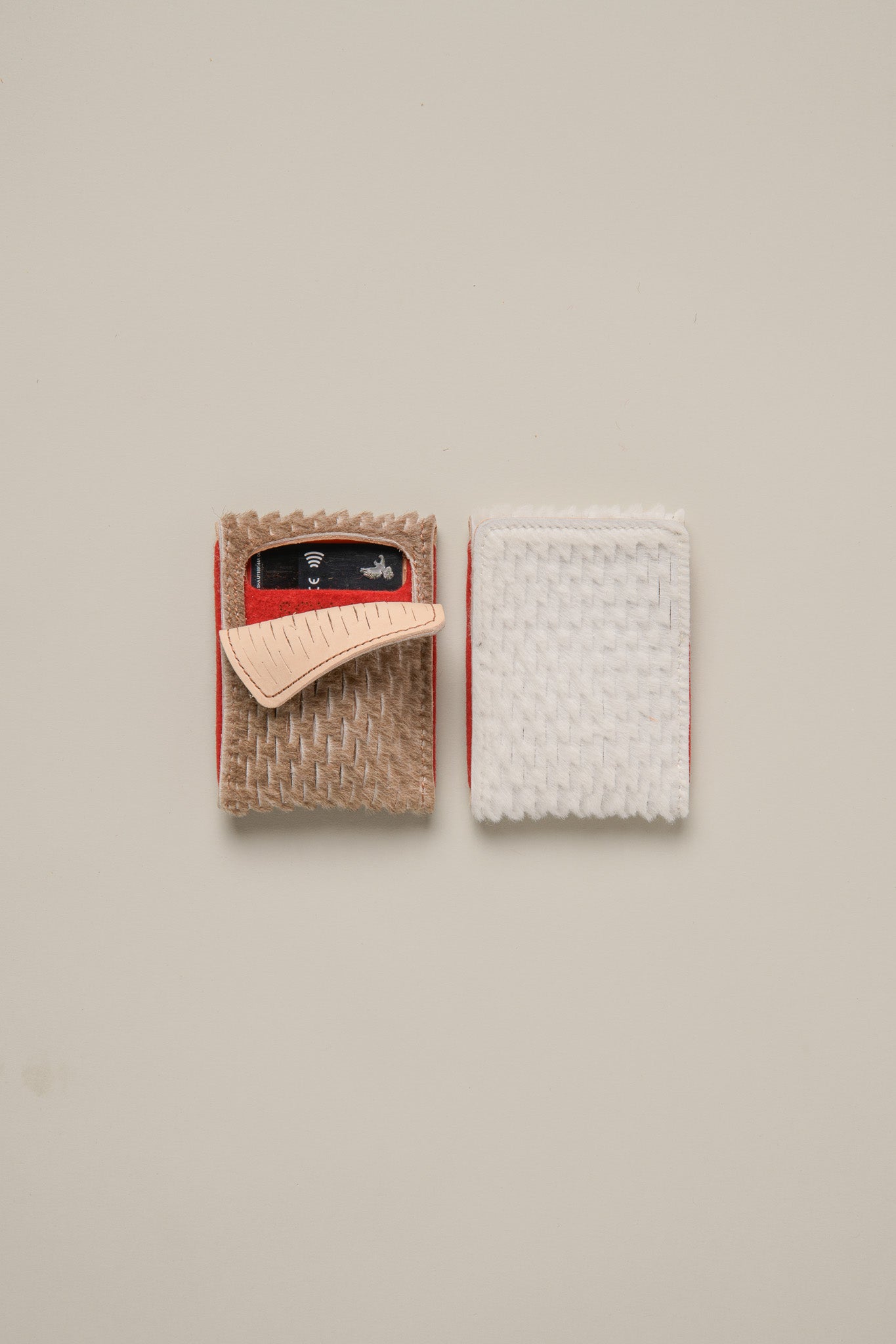 CARTERA "MUR"