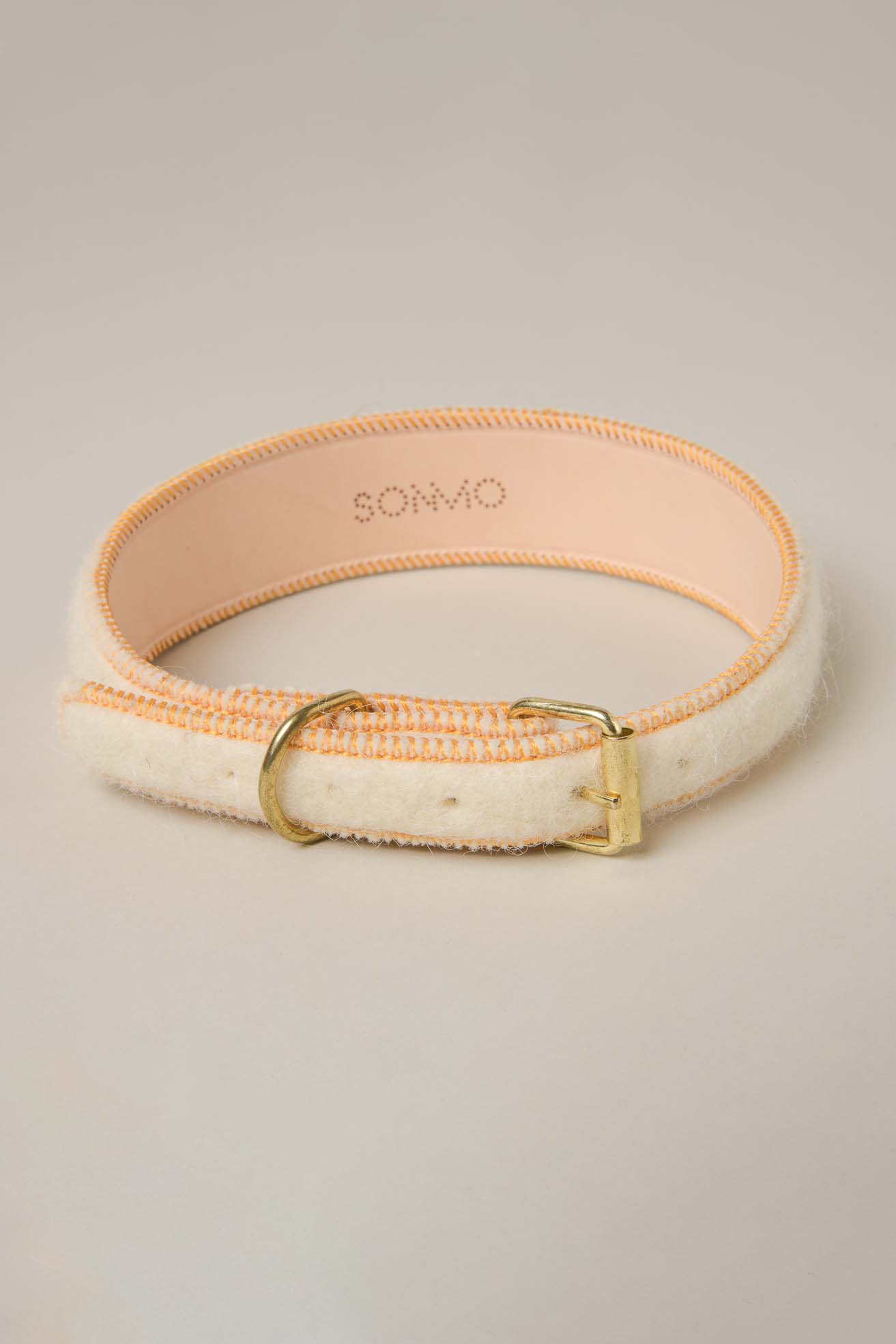 COLLAR PERRO "TORD"