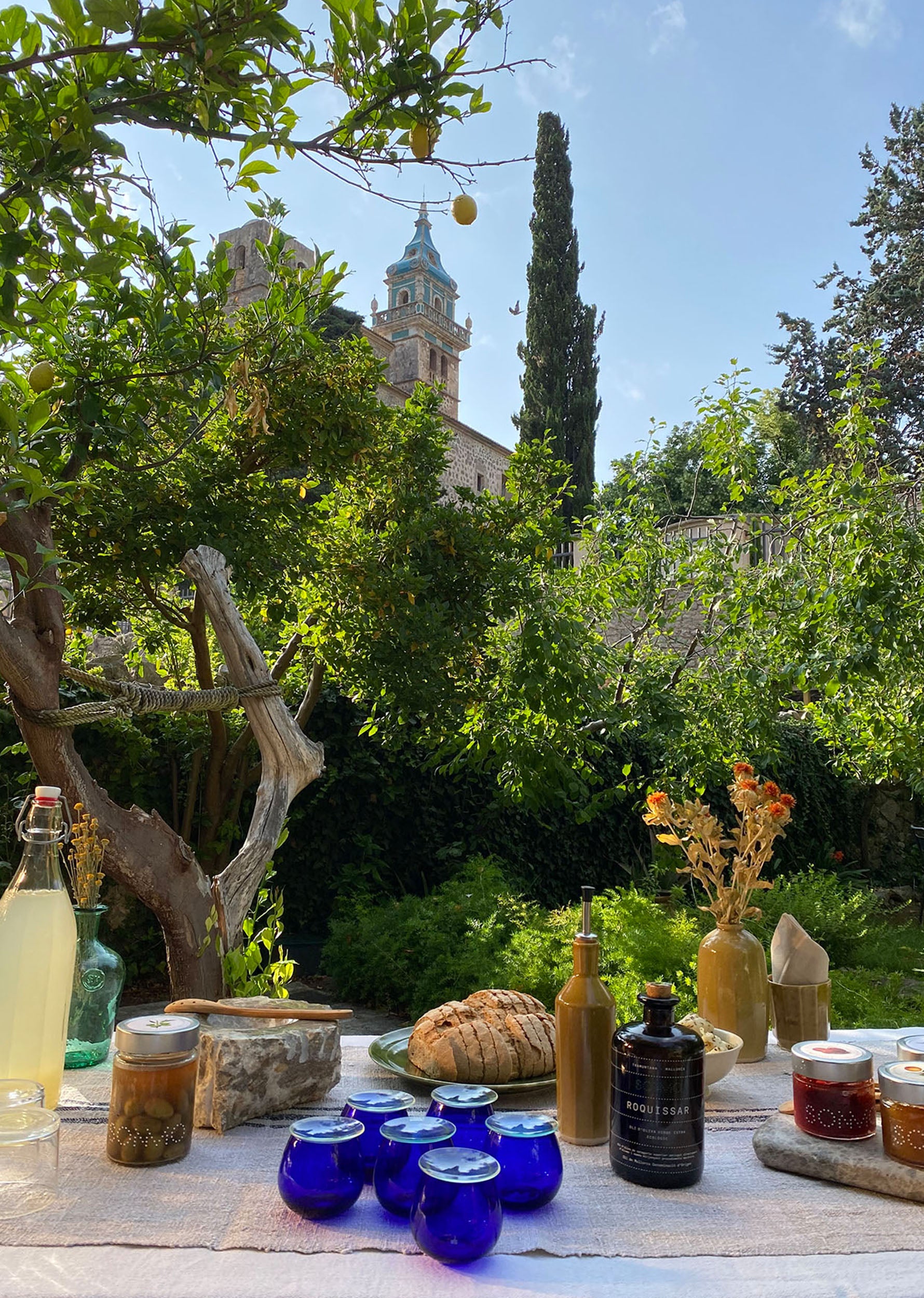 CATAS DE ACEITE EN VALLDEMOSSA
