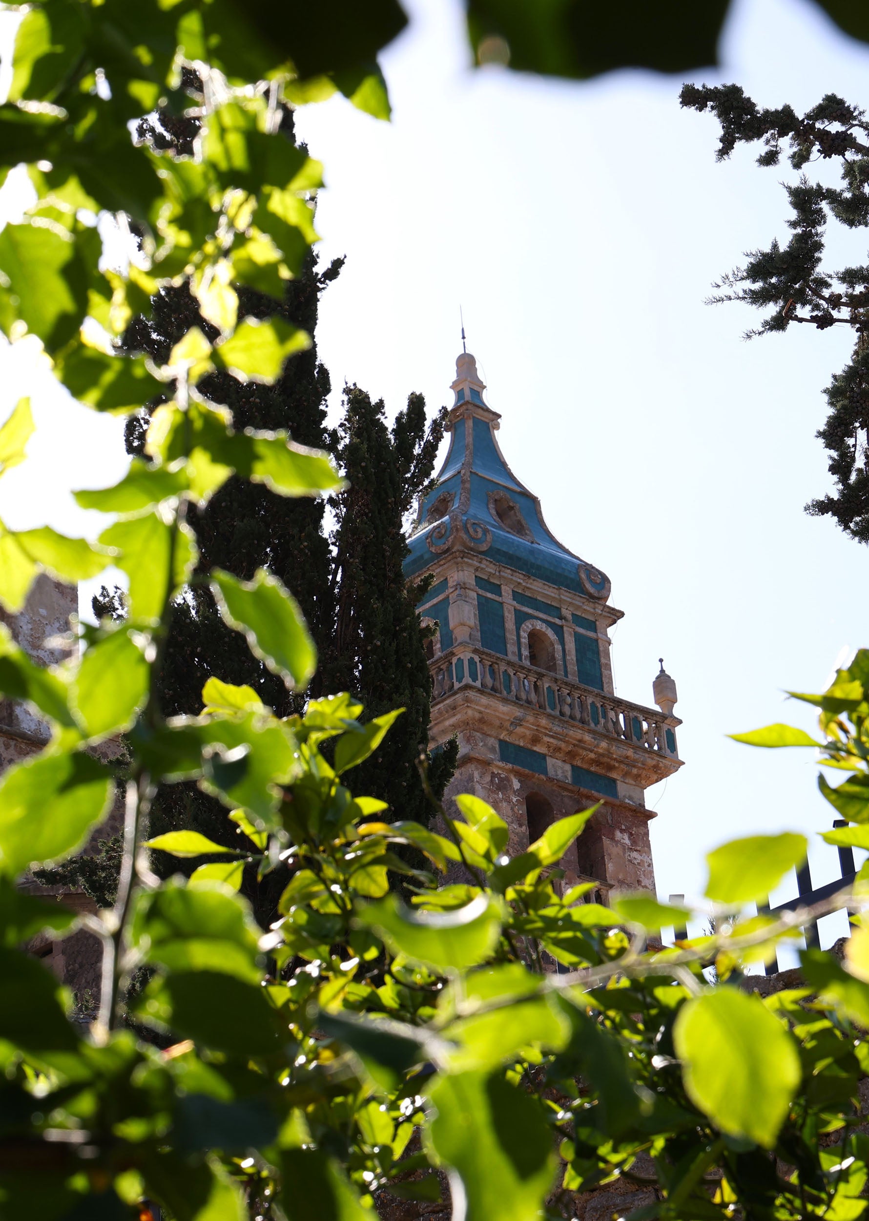 CATAS DE ACEITE EN VALLDEMOSSA