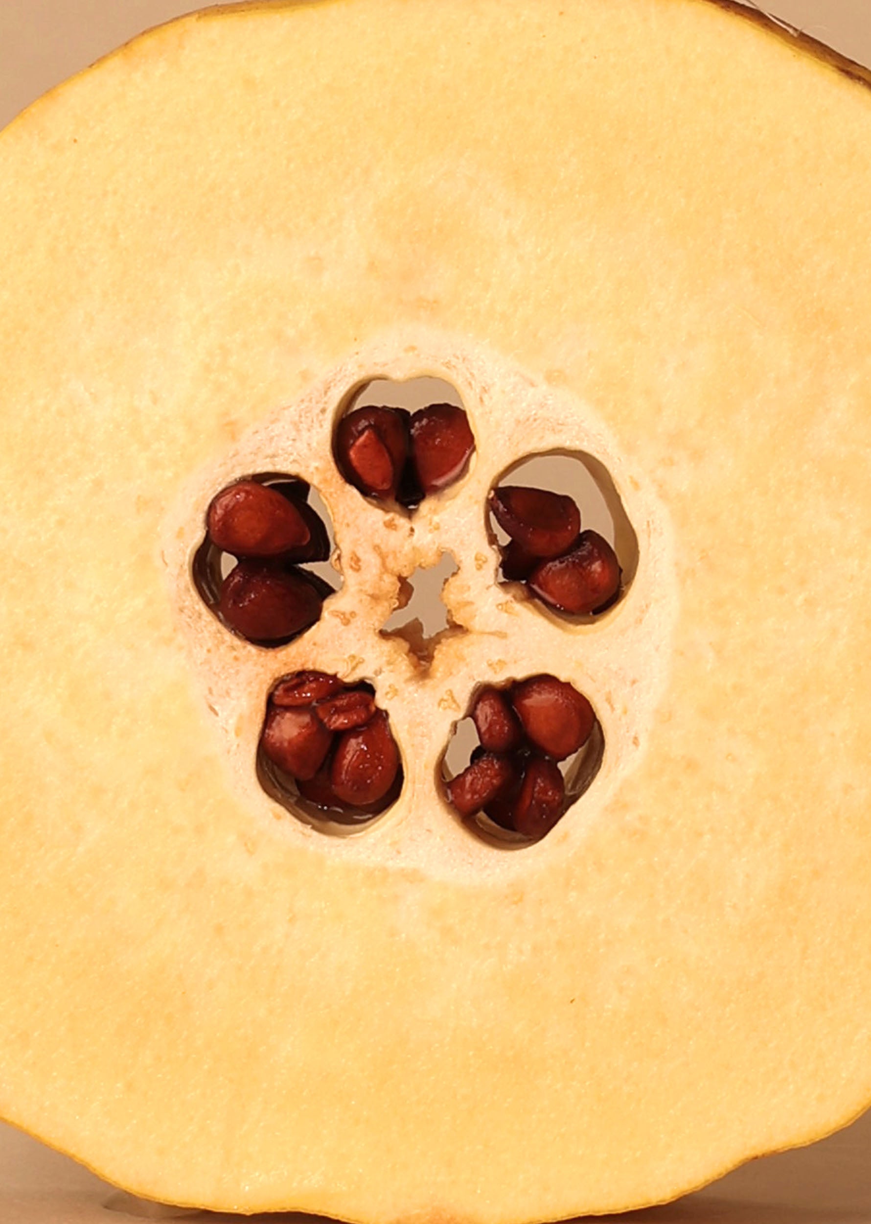 ORGANIC QUINCE AND CHILI JELLY