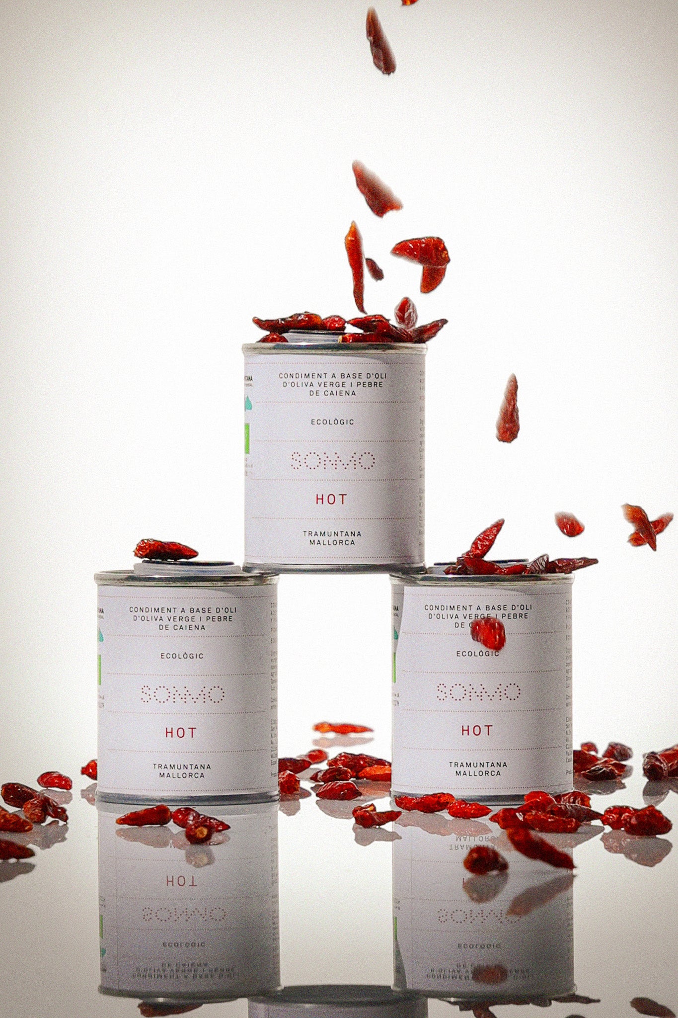 HOT - ACEITE DE OLIVA PICANTE 100 ML